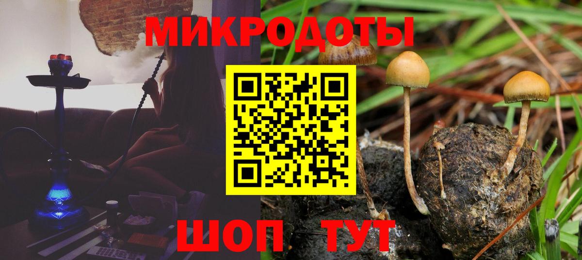 Псилоцибиновые грибы мухоморы  Вход с VPN  Псилоцибиновые грибы мухоморы  Звенигород 